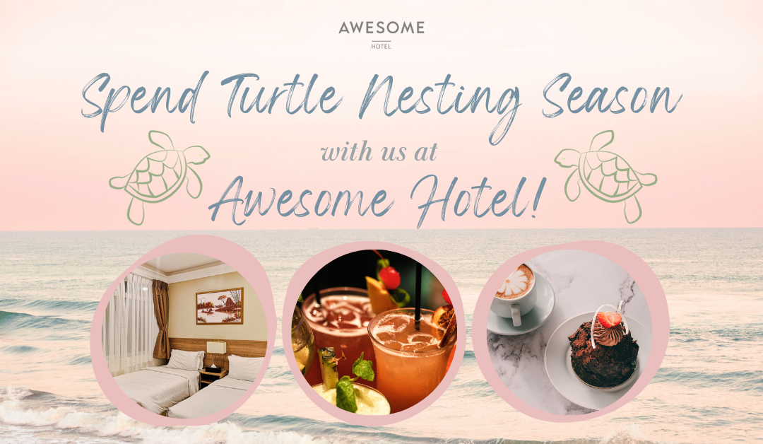 Turtle Nesting Season Exploration at Awesome Hotel