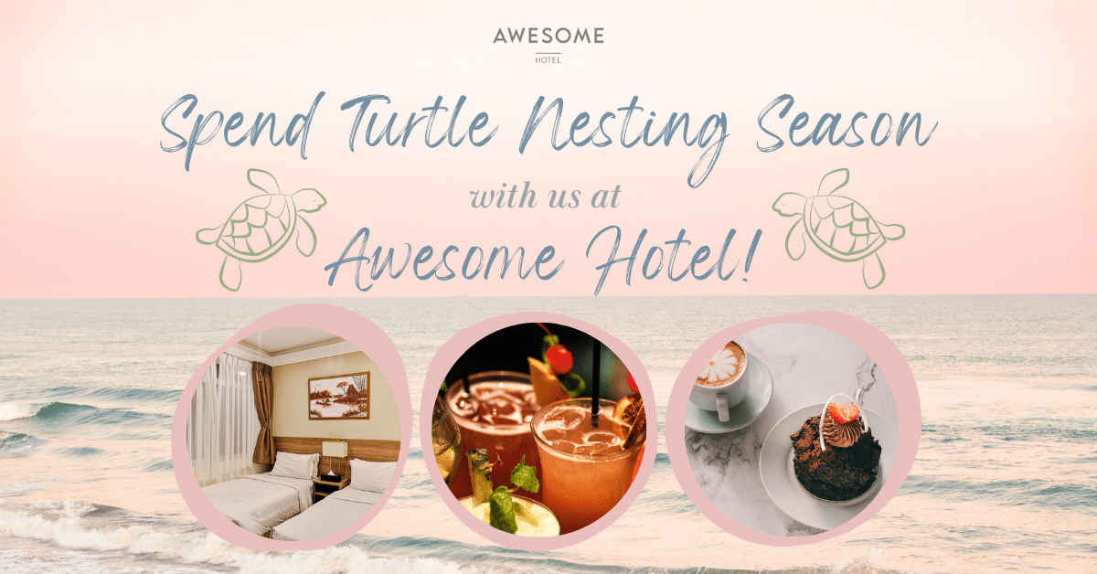 Turtle Nesting Season Awesome Hotel