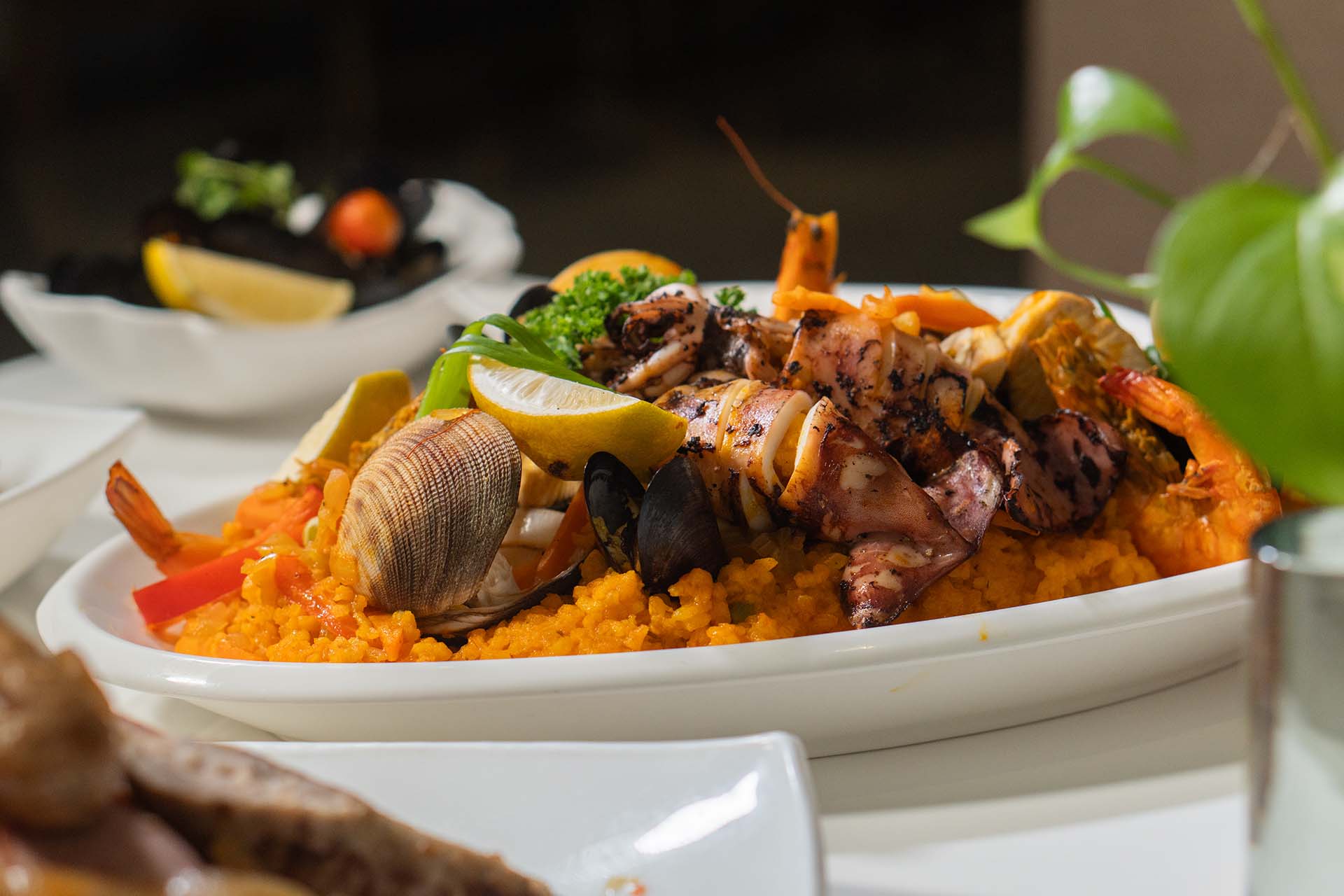 paella stuffed squid