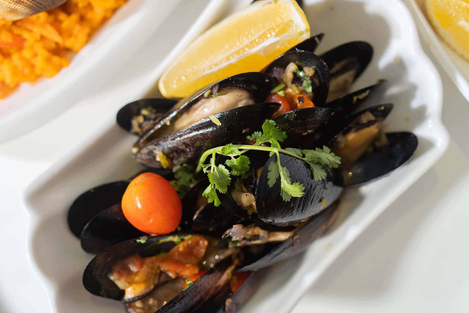 mussel provençale