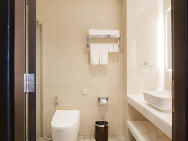 Awesome Hotel Premier King